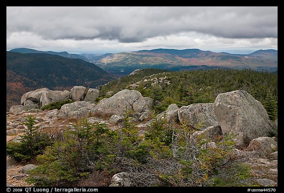 Evergreens and boulders on summit of South Turner Mountain. Baxter State Park, Maine, USA (color)