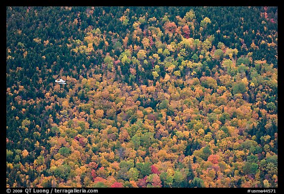 Floatplane flying against slope with trees in fall foliage. Baxter State Park, Maine, USA (color)