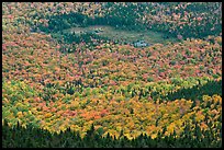 Mixed forest, meadow and pond seen from above. Baxter State Park, Maine, USA