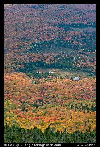 Forest and meadows from above. Baxter State Park, Maine, USA