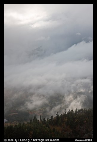 Clearing clouds and ridge with conifers. Baxter State Park, Maine, USA (color)