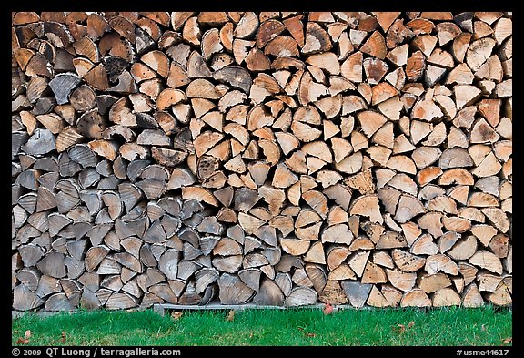 Wall of firewood, Millinocket. Maine, USA (color)