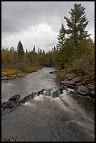 Allagash stream in stormy weather. Allagash Wilderness Waterway, Maine, USA ( color)
