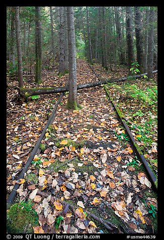 Abandonned railway tracks. Allagash Wilderness Waterway, Maine, USA