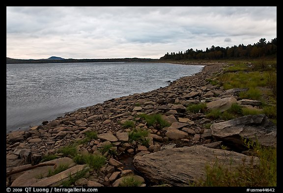 Shores of Eagle Lake. Allagash Wilderness Waterway, Maine, USA (color)