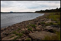 Shores of Eagle Lake. Allagash Wilderness Waterway, Maine, USA