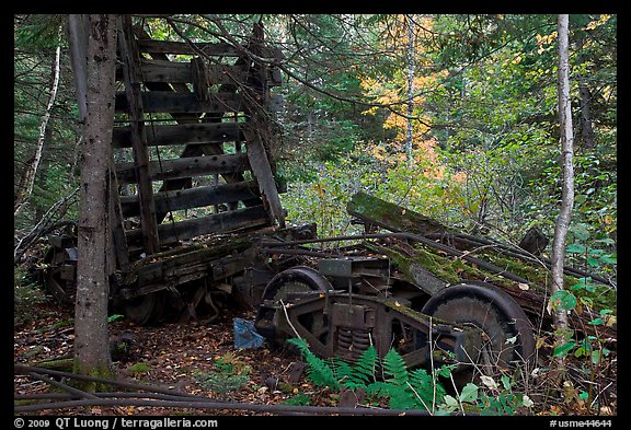 Remnants of railroad cars in the forest. Allagash Wilderness Waterway, Maine, USA