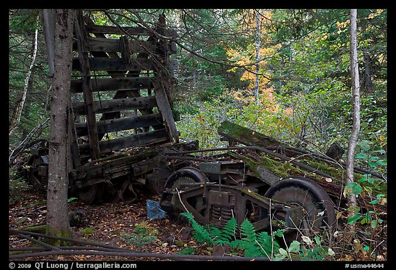 Remnants of railroad cars in the forest. Allagash Wilderness Waterway, Maine, USA (color)