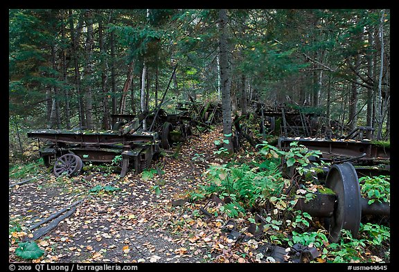 Remnants of abandonned railway equipement. Allagash Wilderness Waterway, Maine, USA (color)