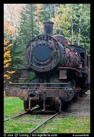 Nose of rusting steamer. Allagash Wilderness Waterway, Maine, USA (color)