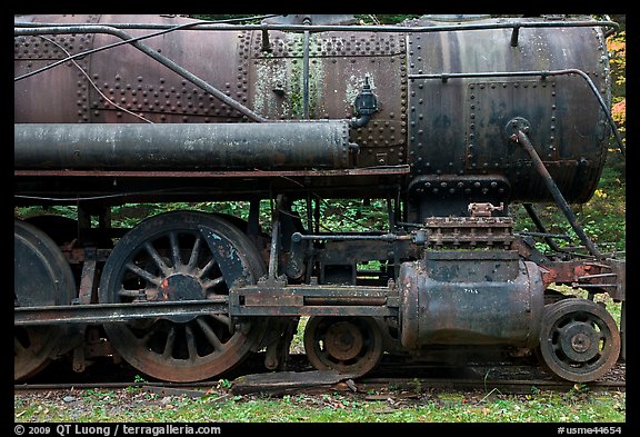 Rusting steamer in the woods. Allagash Wilderness Waterway, Maine, USA