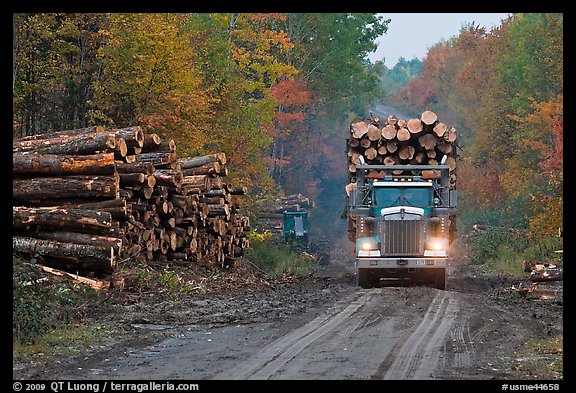 Log truck drives by pile of tree trunks. Maine, USA