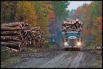 Log truck drives by pile of tree trunks. Maine, USA ( color)