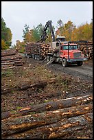 Forestry site with working log truck and log loader. Maine, USA (color)