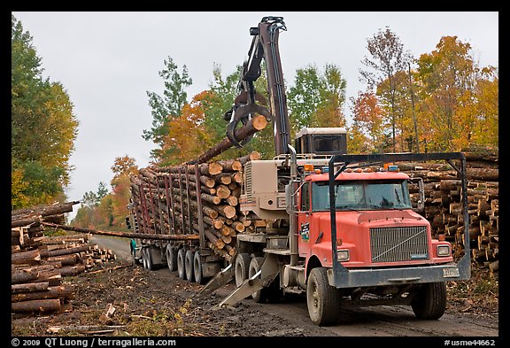 Logging truck loaded by log loader truck. Maine, USA