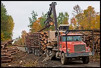 Logging truck loaded by log loader truck. Maine, USA (color)