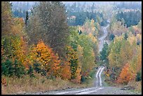 Dirt road through autumn forest. Maine, USA