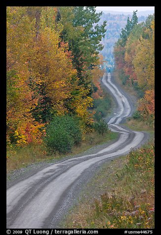 Primitive road through autumn forest. Maine, USA