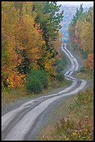 Primitive road through autumn forest. Maine, USA