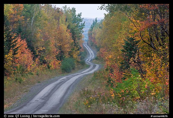 North Woods in autumn with twisting unimproved road. Maine, USA (color)