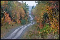 North Woods in autumn with twisting unimproved road. Maine, USA