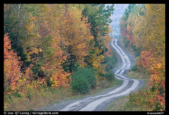 Dirt road and curves in the fall. Maine, USA