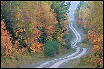 Dirt road and curves in the fall. Maine, USA