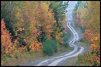 Dirt road and curves in the fall. Maine, USA (color)