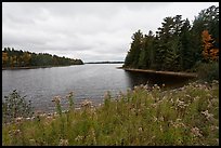 Round Pond from Johns Bridge. Allagash Wilderness Waterway, Maine, USA ( color)