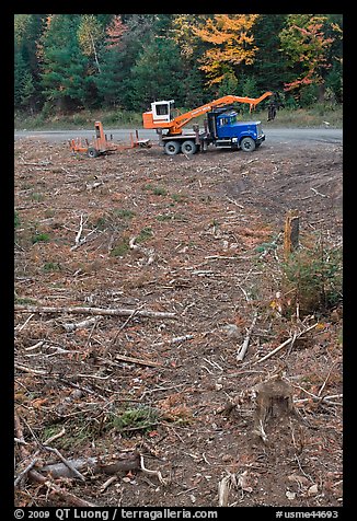 Clearfelt area with forestry truck and trailer. Maine, USA