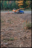 Clearfelt area with forestry truck and trailer. Maine, USA