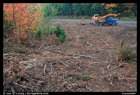 Deforested area and forestry truck and trailer. Maine, USA