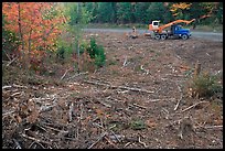 Deforested area and forestry truck and trailer. Maine, USA (color)