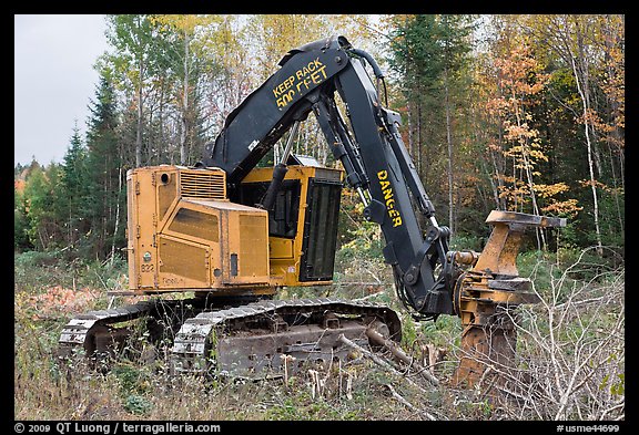 Tracked forest harvester. Maine, USA