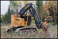 Tracked forest harvester. Maine, USA (color)