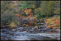 Stream and fall reflections. Maine, USA