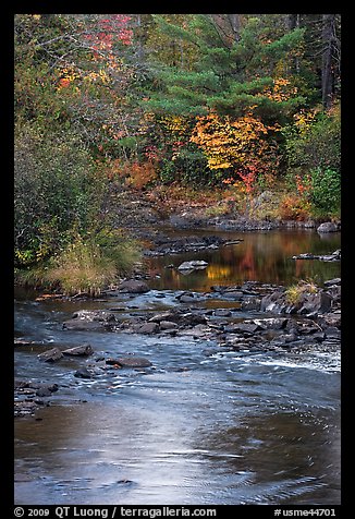 Stream and autumn reflections. Maine, USA