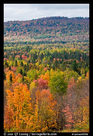 Northwoods landscape in autumn. Maine, USA