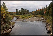 Sand bar, Machias River in autumn. Maine, USA ( color)