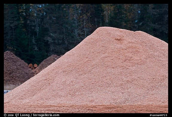 Sawdust pile, Ashland. Maine, USA