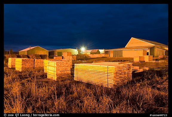 Lumber stacks at night, Ashland. Maine, USA (color)