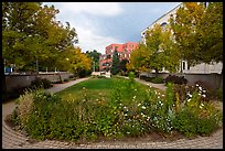 Park along the Kenduskeag stream. Bangor, Maine, USA