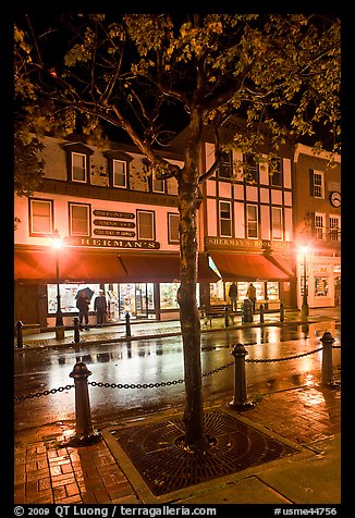 Sherman's bookstore, oldest in Maine, at night. Bar Harbor, Maine, USA