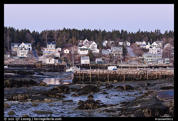 Harbor at low tide, dawn. Stonington, Maine, USA