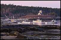 Fishing boats and forest. Stonington, Maine, USA