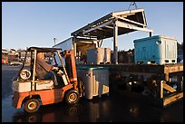 Man loading lobster crates in harbor. Stonington, Maine, USA