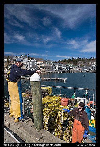 Commercial lobstermen. Stonington, Maine, USA