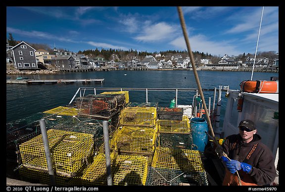 Lobsterman in boat with traps, and village in background. Stonington, Maine, USA (color)