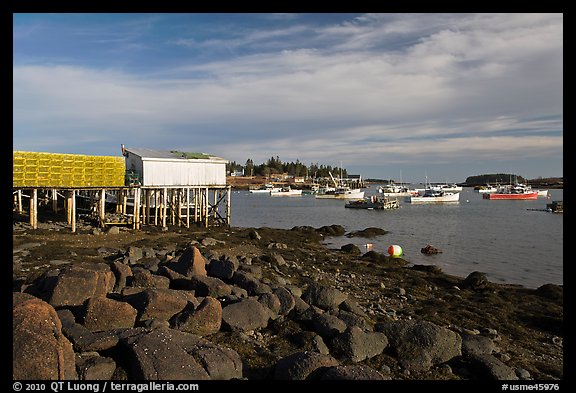 Harber at low tide, late afternoon. Corea, Maine, USA (color)