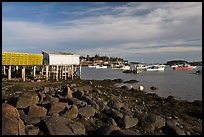 Harber at low tide, late afternoon. Corea, Maine, USA (color)